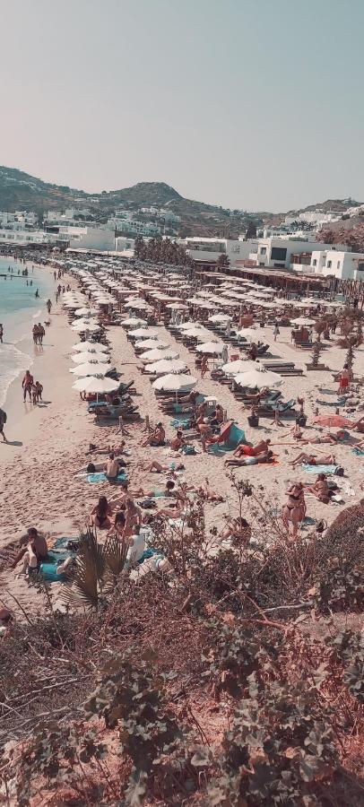 Demis Mykonos 2