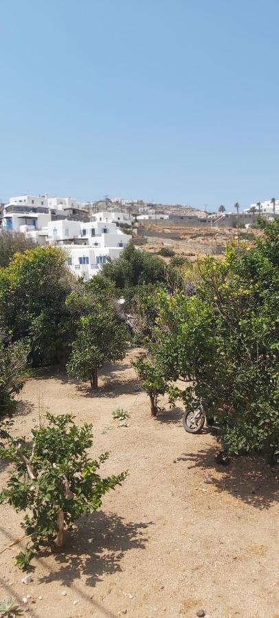 Ferienhaus Demis Mykonos 2 *